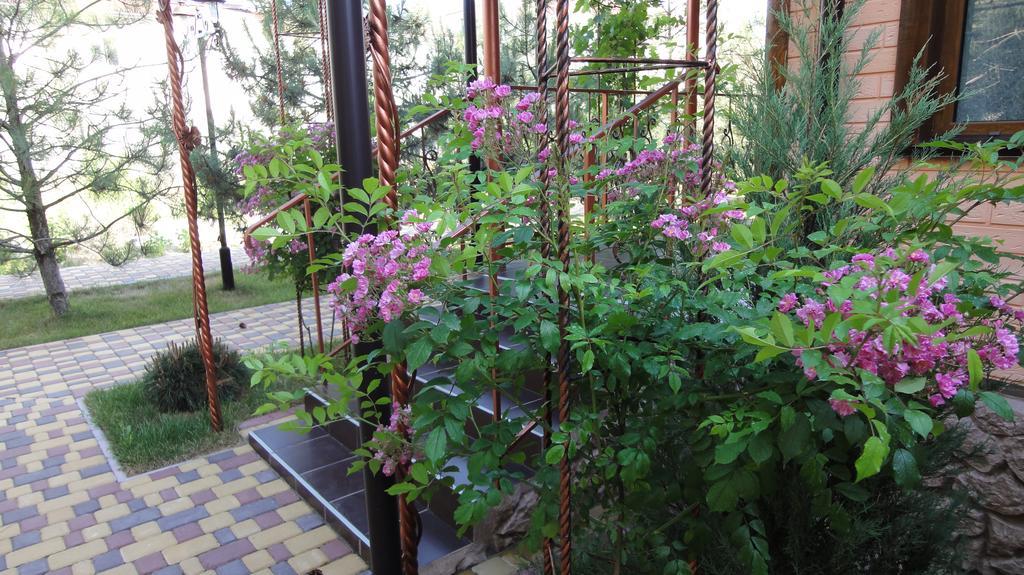 Villa Sosnovy Bor Zatoka Buitenkant foto