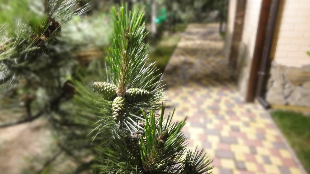 Villa Sosnovy Bor Zatoka Buitenkant foto